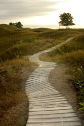 The Spiritual Journey