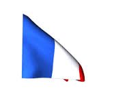 Frenh Flag